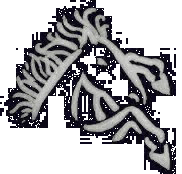 tête de cheval