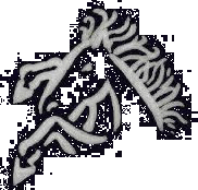 tête de cheval